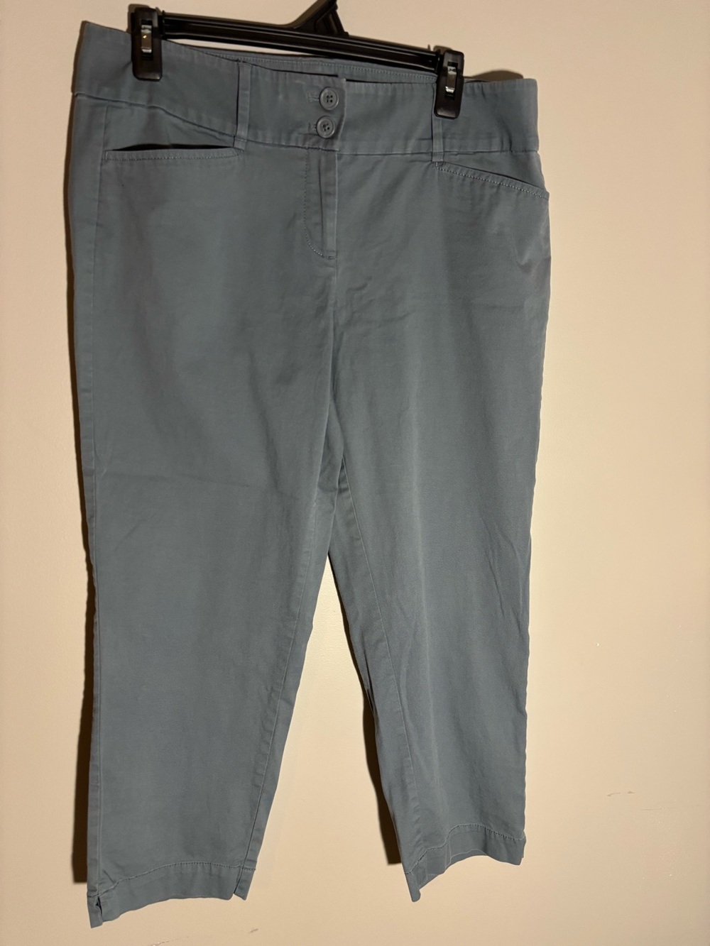 LOFT Outlet Original Crop Pants Women’s Size 8 Blue Gray